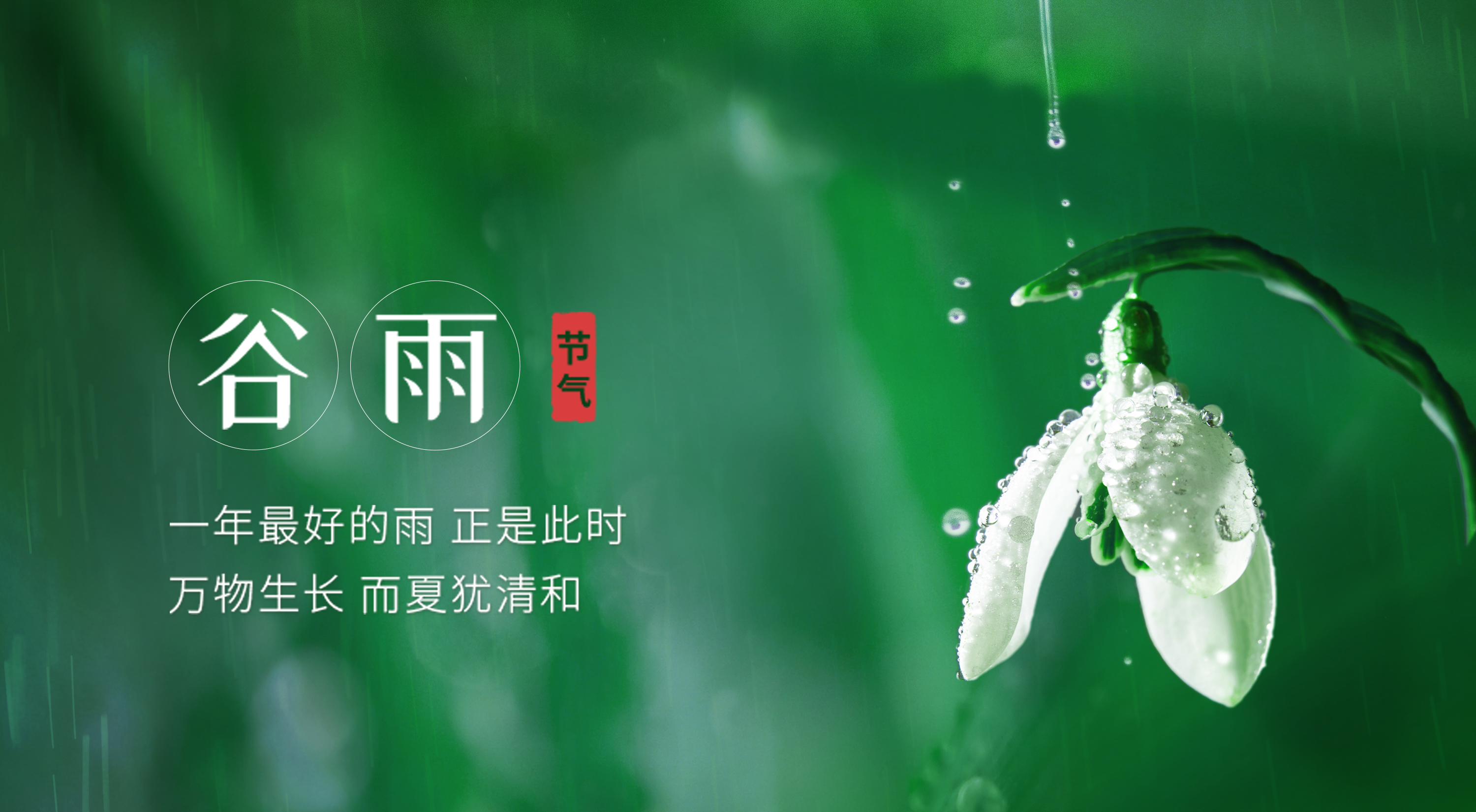 二十四节气丨谷雨