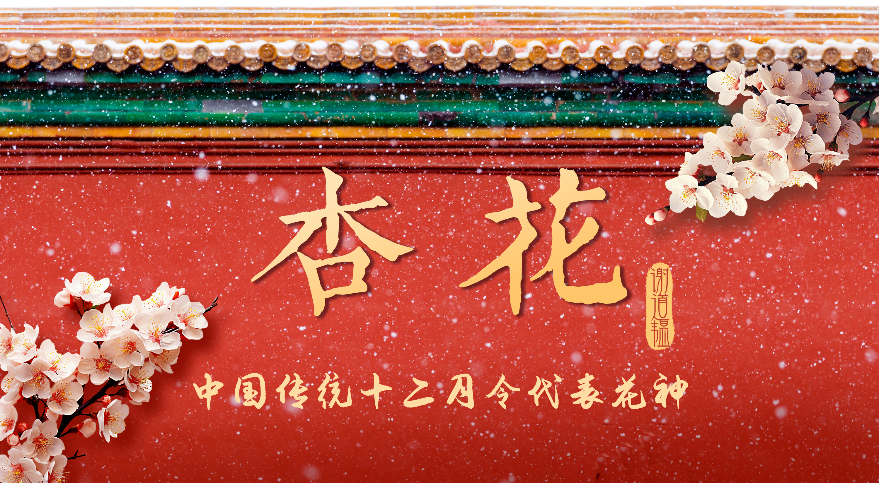 中国传统12月令代表花神丨二月杏花