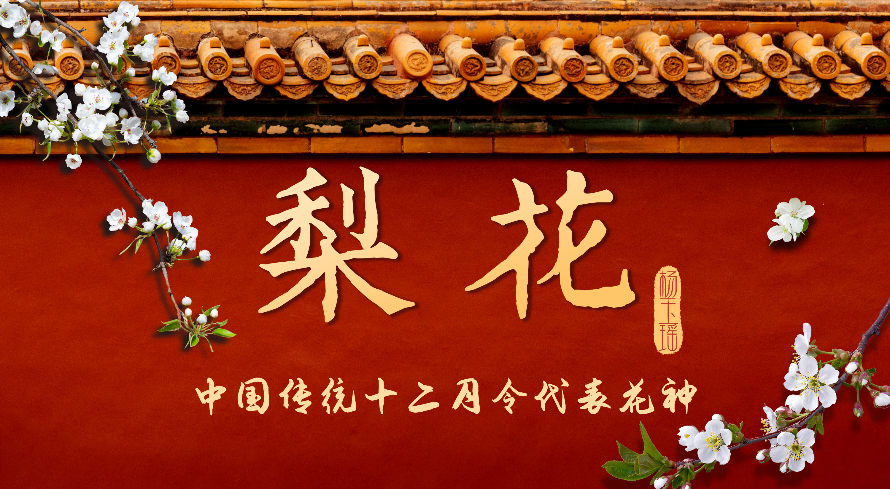 中国传统12月令代表花神丨三月梨花