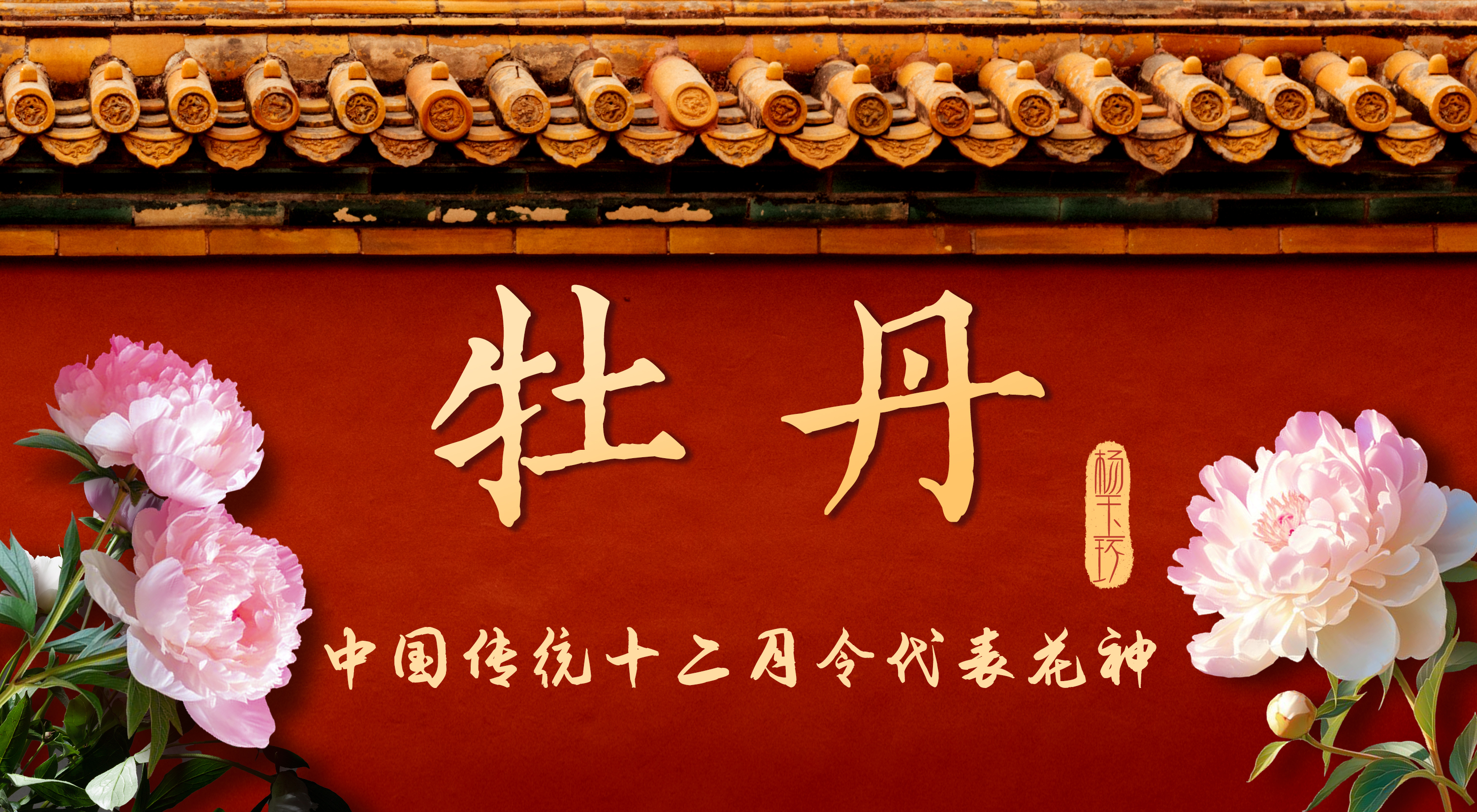 中国传统12月令代表花神丨四月牡丹花