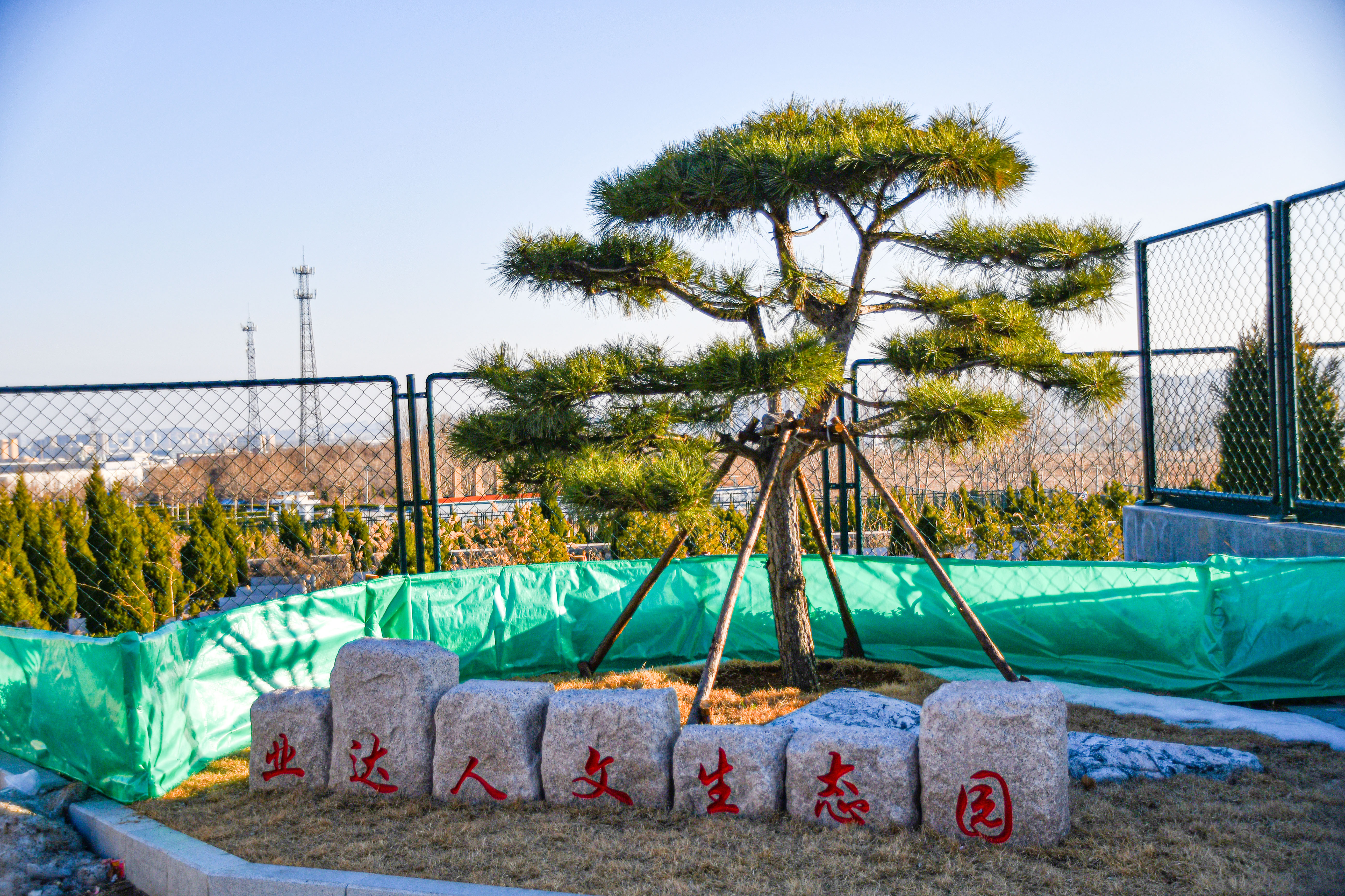 【今日头条】烟台黄渤海新区首个城市公益性公墓建成投用