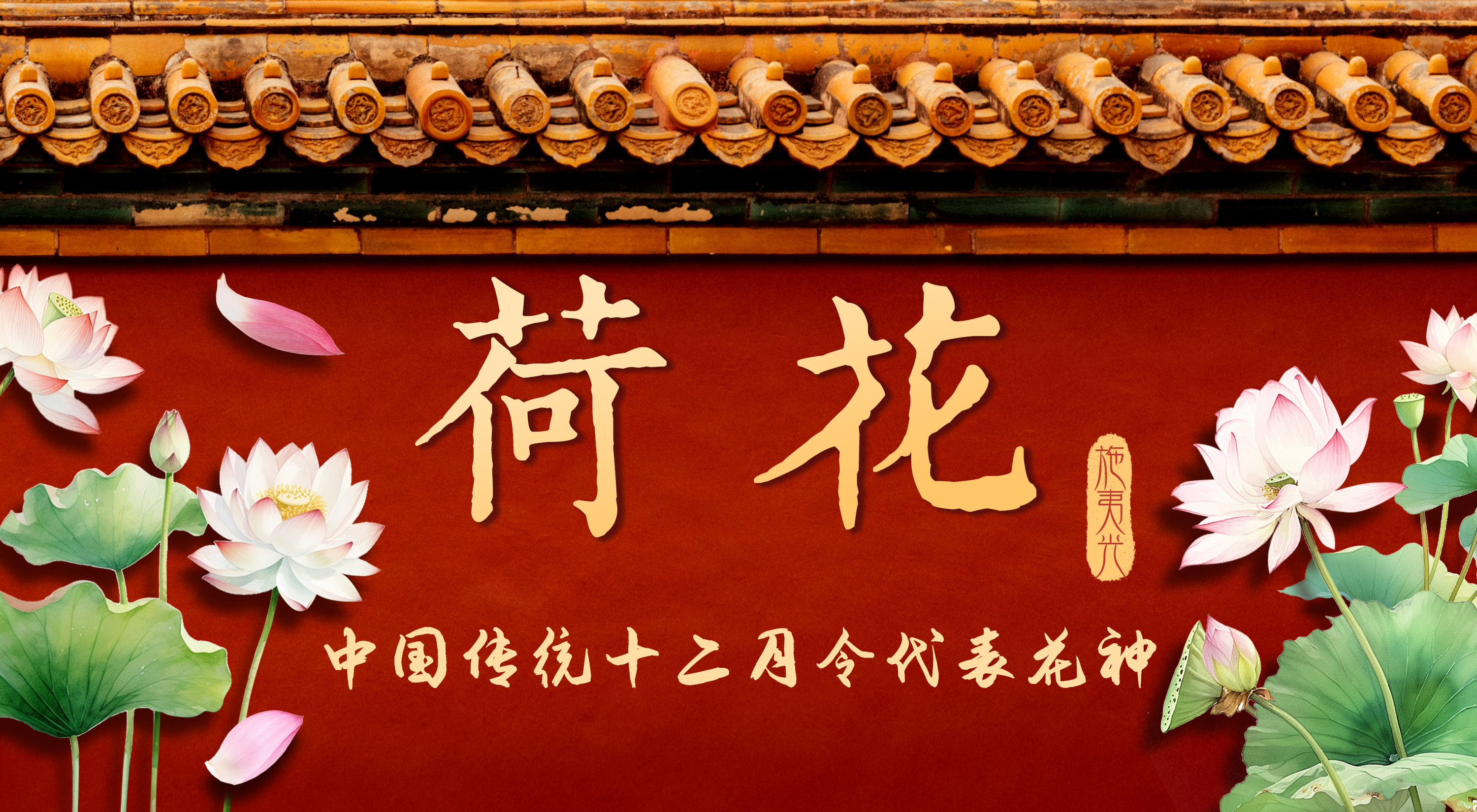 中国传统12月令代表花神丨六月荷花