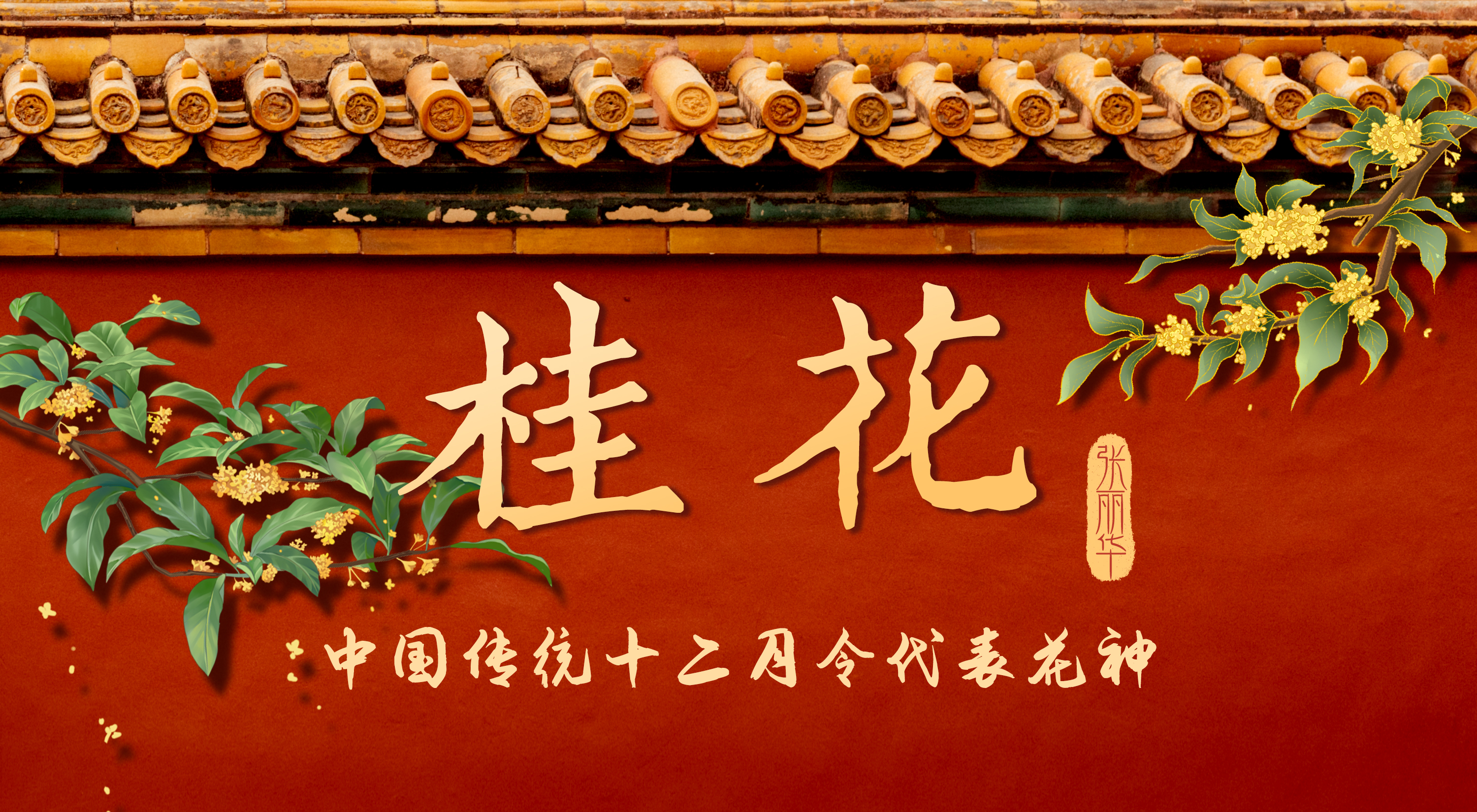中国传统12月令代表花神丨八月桂花