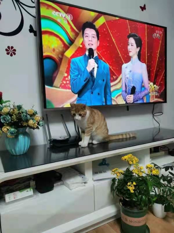 检测-姜雷 其乐融融 (2).jpg 检测-姜雷 其乐融融 (2).jpg
