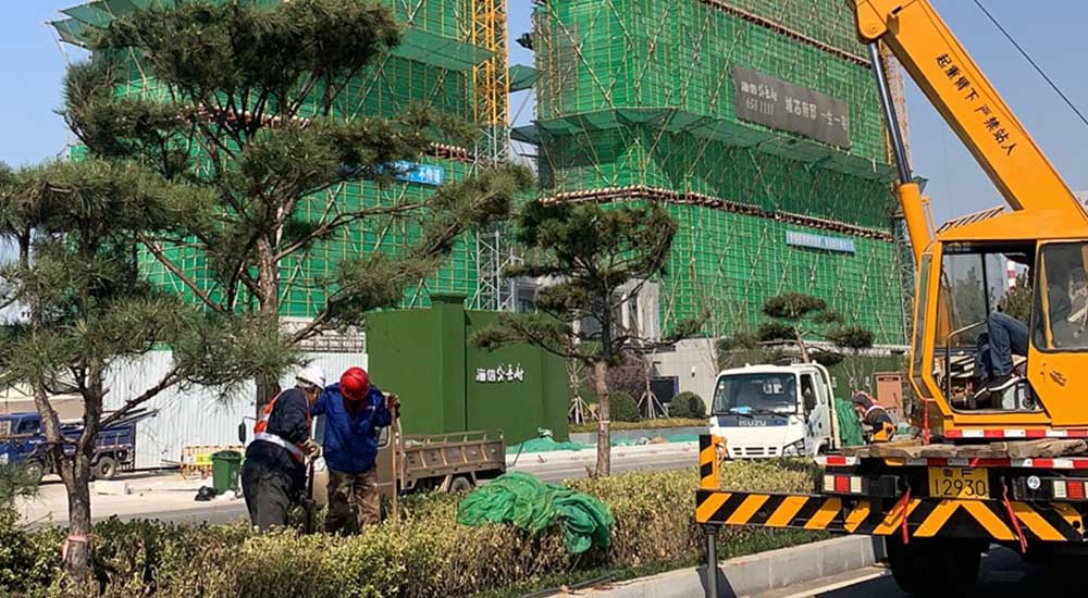 按下“美颜”键 “裸土”披绿装